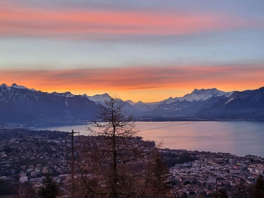 Le Toit De Chardonne - Entre Alpes Et Lac Leman Exterior foto