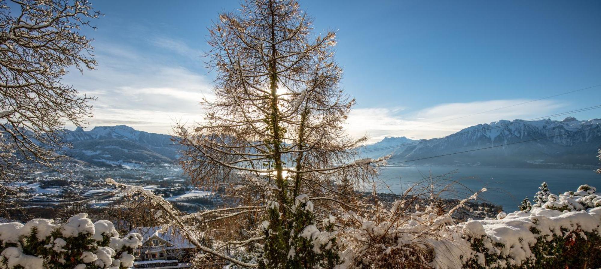 Le Toit De Chardonne - Entre Alpes Et Lac Leman Exterior foto